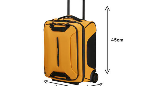 Oppfyller EasyJets krav