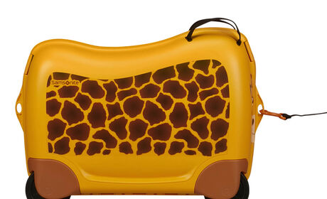 Multifunksjonelt bånd