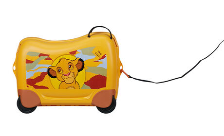 Multifunctional leash