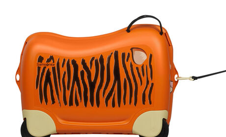 Multifunctional leash