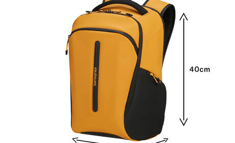 Oppfyller Ryanairs krav