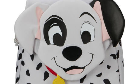 Kan vaskes for hånd