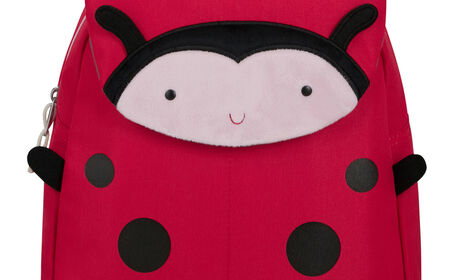 Kan vaskes for hånd