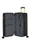 American Tourister Trailon Trunk 80cm  Svart