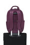 Freshletic Backpack