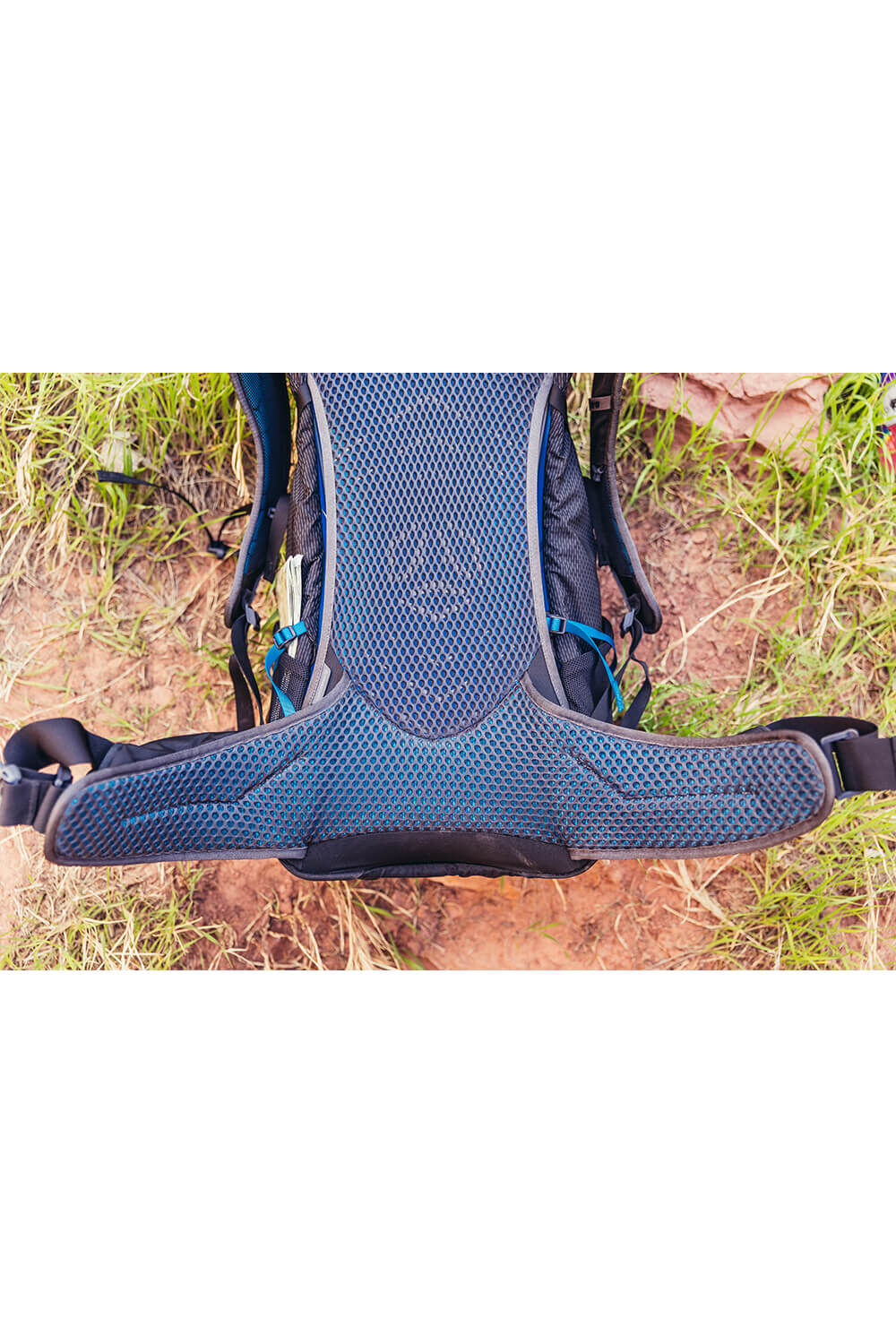 Gregory  CITRO 24 RC  Volt Blue