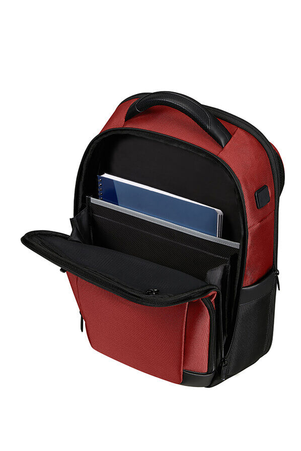 Samsonite Pro-Dlx 6 Backpack 15.6'  R&oslash;d