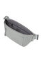Samsonite Move 5.0 Waist Bag S  Dry Sage