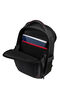 Samsonite Pro-Dlx 6 Backpack 14.1'  Svart