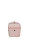 Samsonite Stackd Beauty Case  Rose