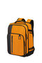Biz2Go 2 3-i-1 reise-ryggsekk 17.3"